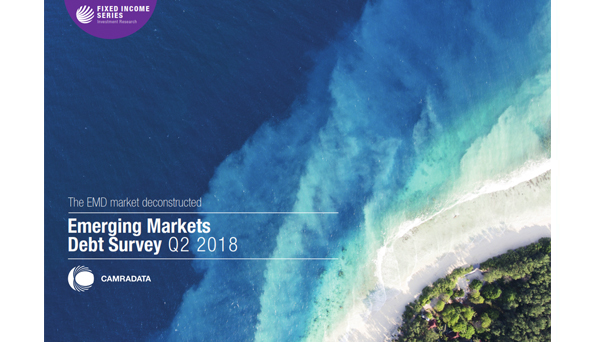 Emerging Markets Debt Survey